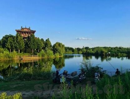 91麻豆直播-数字时代的娱乐新风貌，解密91麻豆直播的独特魅力与影响