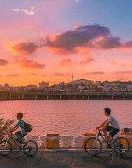 林仙踪麻豆91-奇幻旅程，林仙踪与麻豆91的奇妙邂逅在现实与幻想的边缘
