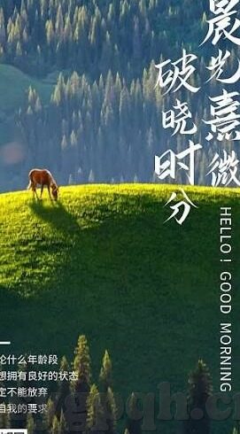麻豆传媒 种子-麻豆传媒与种子——互联网内容安全的新警钟